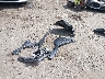 4S4GUHL68T3****** Destrozados 2026 Subaru Crosstrek en Estado de Maryland