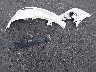 3D4PH5FV7AT****** Wrecked 2010 Dodge Journey in Illinois State