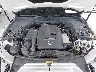 55SWF4KB8JU****** Reparables 2018 Mercedes-Benz C-Class en Cat Tampa Old US-41A