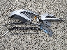 5NPE34AF5GH****** Wrecked 2016 Hyundai Sonata in Oregon State