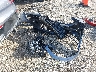 5NMMFDTB4TH****** Wrecked 2026 Genesis GV70 in Ohio State