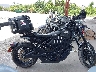 1HD3GDYB2RB****** Salvage 2024 LiveWire S2 Mullholland in Florida State