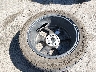 KMHRC8A3XRU****** Wrecked 2024 Hyundai Venue in Utah State