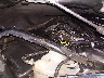 2G1WF5E31C1****** Reparables 2012 Chevrolet Impala en Boise