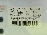 1D7HA182X6J****** Used 2006 Dodge Ram 1500 in Nashville