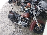 1HD1JRV13HB****** Salvamento y Destrozados 2017 Harley-Davidson Softail Slim en Rec Rides Online Exclusive