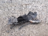 KM8J33A28HU****** Destrozados 2017 Hyundai Tucson en Estado de Tennessee