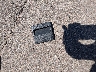 JF1VA1E61H9****** Wrecked 2017 Subaru WRX in Colorado State