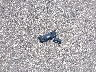 WBA7U2C0XLB****** Wrecked 2020 BMW 750i in Minnesota State