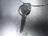 2HGEJ6577WH****** Salvage 1998 Honda Civic in California State