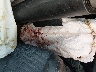 4T1BF1FK1DU****** Repairable 2013 Toyota Camry in Texas State