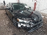 19XFL1H73NE****** Salvamento y Destrozados 2022 Honda Civic en Tidewater