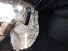 1HGCV1F59NA****** Salvage 2022 Honda Accord in Virginia State