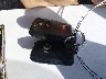 JTDKN3DU6D0****** Salvage 2013 Toyota Prius in Montana State