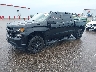 1GCPYBEK6MZ****** Used and Repairable 2021 Chevrolet Silverado 1500 in Minneapolis South