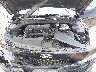 5NPLL4AG8MH****** Reparables 2021 Hyundai Elantra en Rochester