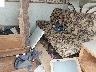 1ED1W262531****** Salvage 2003 Fleetwood Enterprises Fleetwood Enterprises, Inc. (Wilderness) in Utah State
