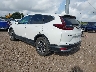 5J6RW1H56NA****** Salvage and Repairable 2022 Honda CR-V in McAllen