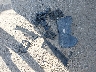 1C4RJFAG1JC****** Wrecked 2018 Jeep Grand Cherokee in New York State