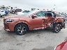 2T2BAMCA7RC****** Repairable 2024 Lexus RX in Texas State