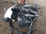 3PCAJ5M30KF****** Wrecked 2019 Infiniti QX50 in Arizona State
