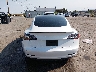 5YJ3E1EC8MF****** Usados 2021 Tesla Model 3