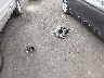 WBA3C1C53EK****** Wrecked 2014 BMW 3 Series in California State