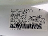 19XFL1H73NE****** Used 2022 Honda Civic in Raleigh