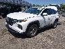 5NMJACAE9NH****** Used and Repairable 2022 Hyundai Tucson in Hartford