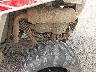 L6KHCB181PS****** Used 2023 Polaris RZR in Rec Rides Online Exclusive