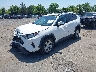 2T3P1RFV1LW****** Used and Repairable 2020 Toyota RAV4 in Culpeper