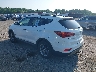 5XYZUDLB7HG****** Salvamento y Reparables 2017 Hyundai Santa Fe en Elkton