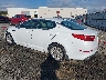 5XXGN4A70FG****** Salvamento y Reparables 2015 Kia Optima en Tifton