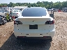 5YJYGAEE3MF****** Salvamento 2021 Tesla Model Y