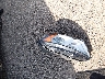 MAJ6S3KL5KC****** Wrecked 2019 Ford Ecosport in Ohio State