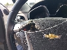 1GNKVGKD1FJ****** Salvage 2015 Chevrolet Traverse in Virginia State
