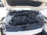3KPF24AD8RE****** Reparables 2024 Kia Forte en Omaha