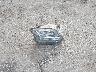 1FMCU9GD7KU****** Destrozados 2019 Ford Escape en Estado de Indiana
