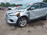 1FMCU9GD7KU****** Salvamento y Reparables 2019 Ford Escape en Estado de Indiana