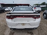 2C3CDXBG8KH****** Destrozados 2019 Dodge Charger