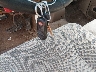 3B7HC13Y31M****** Salvage 2001 Dodge Ram 1500 in Texas State