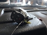 3GKALYEG8RL****** Salvamento 2024 GMC Terrain en Estado de Iowa
