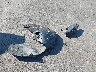 1GTUUGED7SZ****** Wrecked 2025 GMC Sierra 1500 in Illinois State