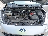 1FMCU9G64MU****** Repairable 2021 Ford Escape in Rochester