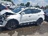 5XYZWDLAXHG****** Repairable 2017 Hyundai Santa Fe in North Carolina State