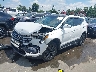 5XYZWDLAXHG****** Used and Repairable 2017 Hyundai Santa Fe in Charlotte