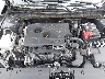 1N4BL4BV5KC****** Repairable 2019 Nissan Altima in Pulaski