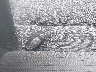 JN8AT3BB3MW****** Salvamento 2021 Nissan Rogue en Estado de Minnesota