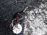 4A4AR3AU3FE****** Salvage 2015 Mitsubishi Outlander in Massachusetts State