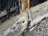 4S3BMCA63B3****** Wrecked 2011 Subaru Legacy in Montana State